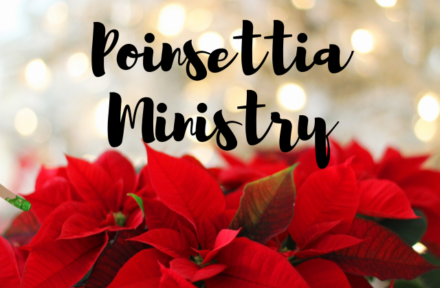 Poinsettia Ministry